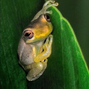 Meet your Posher, Sonia